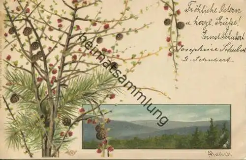 Landschaft - Zweige - Künstlerkarte Mailick - Verlag Winkler & Voigt Leipzig N° 4423 gel. 1902