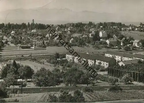 Schachen am Bodensee - Foto-AK Grossformat - gel. 1961