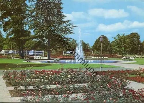 Berlin - Rosengarten in Treptow - AK Grossformat 1974 - Verlag VEB Bild und Heimat Reichenbach