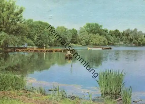 Berlin - Weißensee - Weißer See - Ansichtskarte Grossformat - Verlag VEB Bild und Heimat Reichenbach 1965