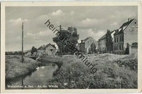 Seegebiet Mansfelder Land - Wansleben am See - Waida