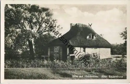Vitte auf Hiddensee - Bauernhaus - Foto-Ansichtskarte