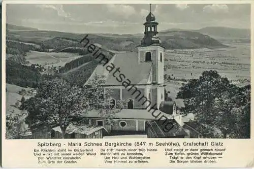 Miedzygorze - Wölfelsgrund - Spitzberg - Maria Schnee Bergkirche