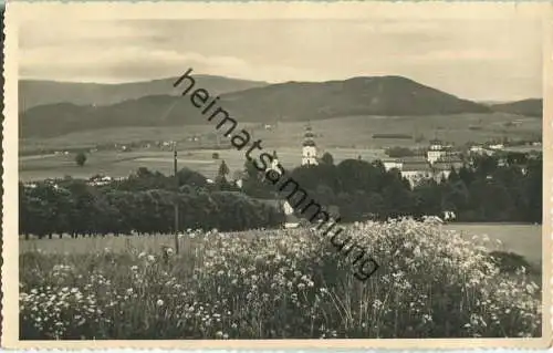 Miedzylesie - Mittelwalde - Panorama - Foto-Ansichtskarte