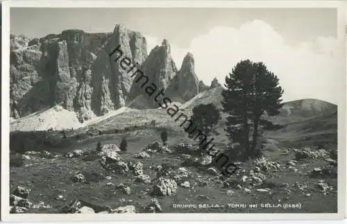 Torri del Sella - Foto-Ansichtskarte