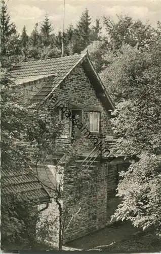 Waldbreitbach - Schloss Walburg - Waldhaus - Foto-Ansichtskarte