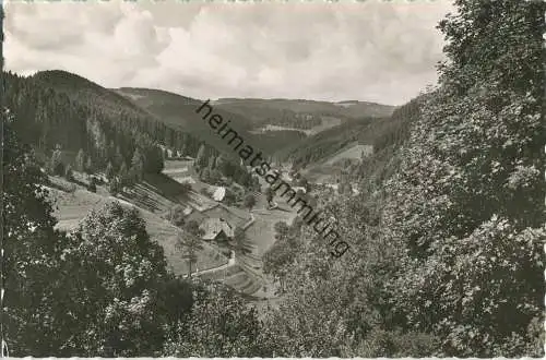 Triberg - Nußbach - Foto-Ansichtskarte