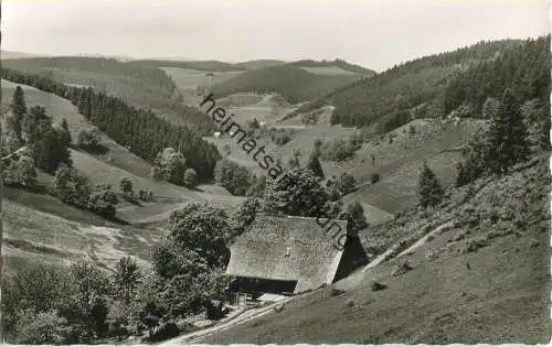 Triberg - Nußbachtal - Foto-Ansichtskarte