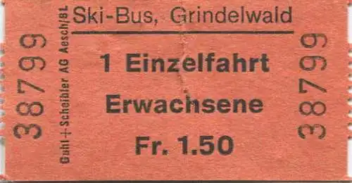 Schweiz - Ski-Bus - Grindelwald
