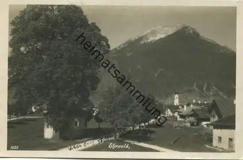 Ehrwald - Foto-AK - Photo-Verlag Untergrainau gel. 1930