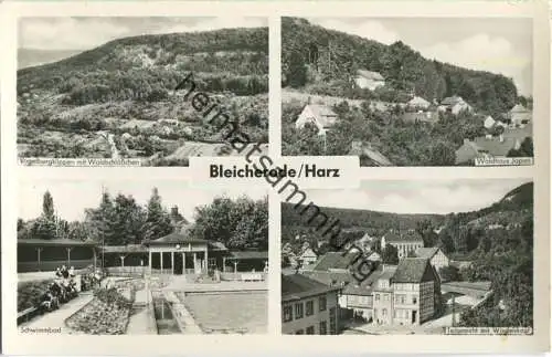 99752 Bleicherode - Waldhaus Japan - Schwimmbad - Foto-Ansichtskarte - VEB Bild und Heimat Reichenbach 1959