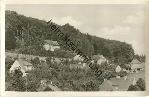 99752 Bleicherode - Waldhaus Japan - Foto-Ansichtskarte - VEB Volkskunstverlag Reichenbach 1958