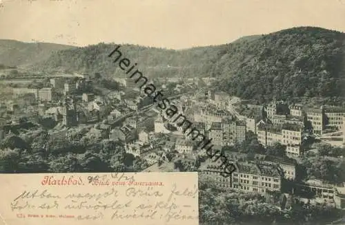 Karlsbad - Panorama - Verlag Brück & Sohn Meissen - gel. 1900