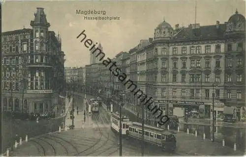 Magdeburg - Hasselbachplatz - Strassenbahnen