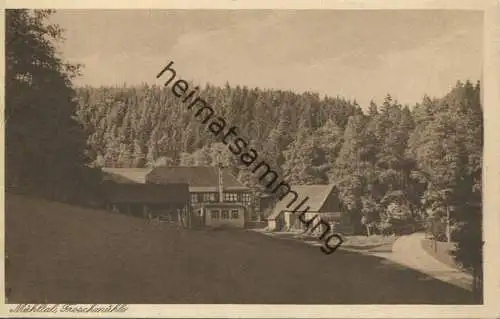 Froschmühle - Verlag Richard Hauenstein Altenburg