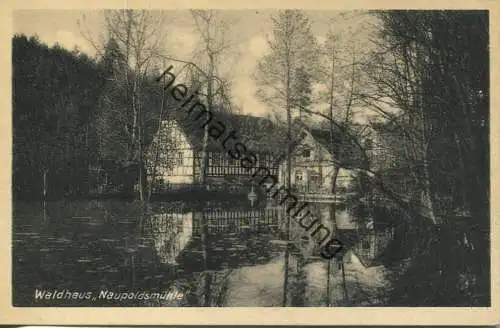 Waldhaus Naupoldsmühle im Mühltal bei Eisenberg - Besitzer Kurt Lätsch - Verlag Richard Schenker Erfurt