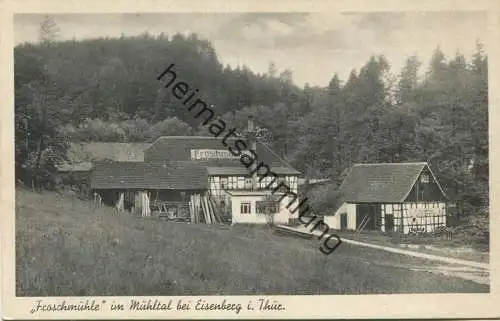 Froschmühle im Mühlental bei Eisenberg - Besitzer Dr. F. Köhler - Verlag Richard Schenker Erfurt