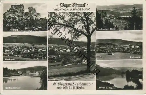 Viechtach und Umgebung