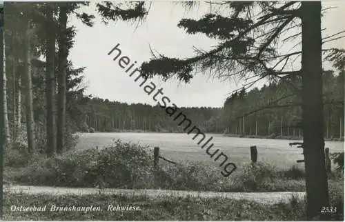 Brunshaupten - Rehwiese - Foto-Ansichtskarte