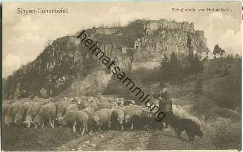 78224 Singen Hohentwiel - Schafherde - Verlag A. Weber Singen