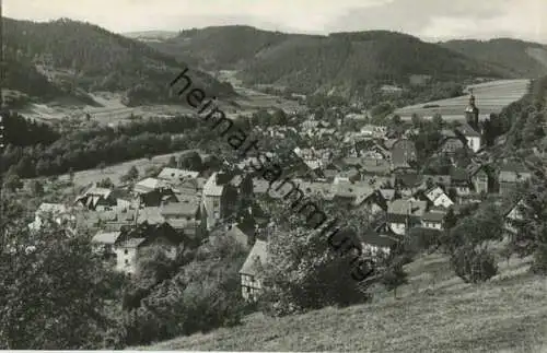 Leutenberg - Blick von der Ernst-Papst-Höhe - Foto-AK 60er Jahre - Verlag Photo-König Lobenstein