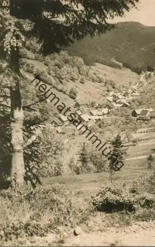 Goldlauter-Heidersbach - Die Goldlauter - Foto-AK - Verlag Sepp Portenreuther Zella-Mehlis