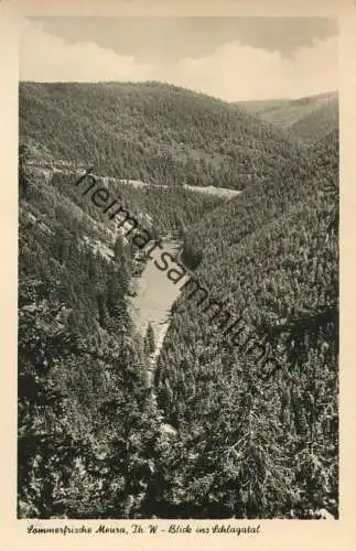 Meura - Blick ins Schlagatal - Foto-AK 60er Jahre - Verlag Richard Zieschank Rudolfstadt