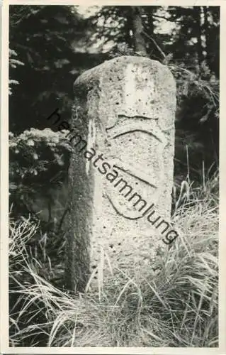 Katzhütte - Foto-AK - keine AK-Einteilung