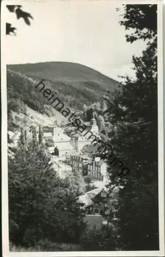 Katzhütte - Foto-AK - keine AK-Einteilung