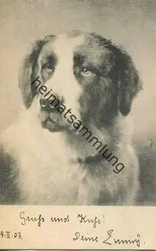 Hund - Künstlerkarte C. Reichert - Verlag Theo Stroefer Nürnberg - Serie 269 No. 5 - beschrieben 1903