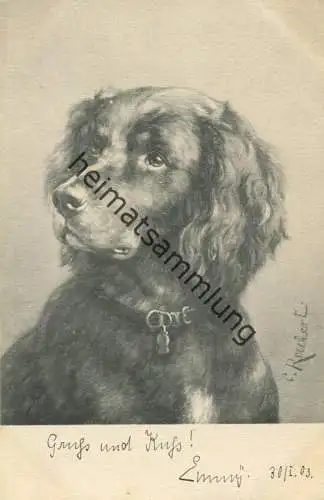 Hund - Künstlerkarte C. Reichert - Verlag Theo Stroefer Nürnberg - Serie 269 No. 6 - beschrieben 1903