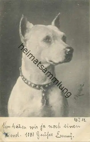 Hund - Künstlerkarte C. Reichert - Verlag Theo Stroefer Nürnberg - Serie 269 No. 3 - beschrieben 1903