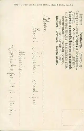 Hasen - Serie 844 Haar- und Federwild - Künstlerkarte signiert Müller jun. München - beschrieben 1902