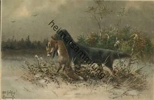 Jagdhund - Fuchs - Künstlerkarte signiert Müller jun. München - beschrieben 1902