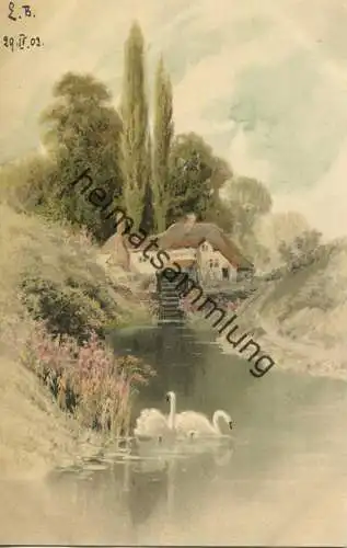 Am Weiher - Wassermühle - Schwäne - Meissner & Buch Leipzig - Serie 1189 - beschrieben 1903