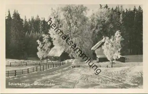 Schierke - Foto-AK - Verlag E. Riehn Wernigerode 50er Jahre