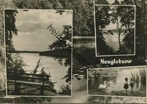 Neuglobsow - Foto-AK Grossformat 60er Jahre - Verlag Foto-Hanich Dresden