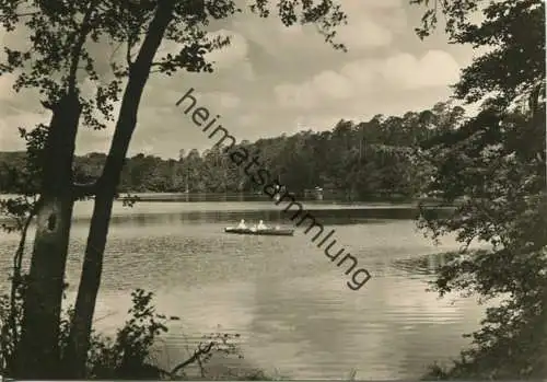 Neuglobsow - Sonnenbucht am Stechlin-See - Foto-AK Grossformat 60er Jahre - Verlag Foto-Hanich Dresden