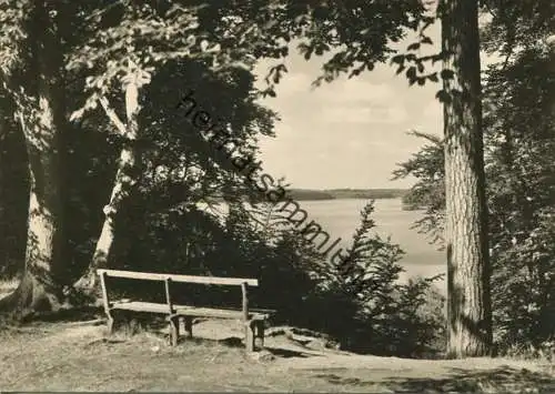 Neuglobsow - Blick vom Fenchelberg auf den Stechlin-See - Foto-AK Grossformat 60er Jahre - Verlag Foto-Hanich Dresden