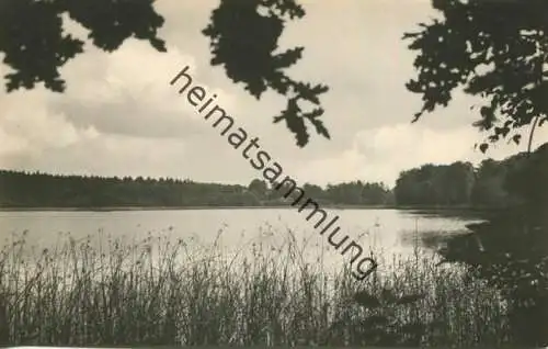Neuglobsow - Am Dagow-See - Foto-AK 60er Jahre - Verlag VEB Bild und Heimat Reichenbach