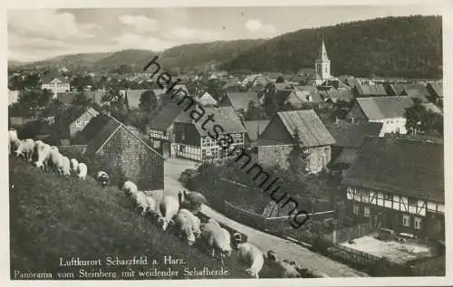 Scharzfeld - Panorama vom Steinberg mit weidender Schafherde - Foto-AK 1932 - Verlag I. Wollstein Berlin