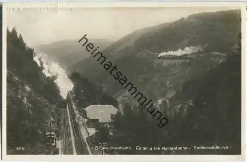 Schwarzwaldbahn - Eingang in den Haldentunnel - Seelenwaldkurve - Foto-Ansichtskarte - Verlag Emil Hartmann Mannheim