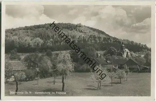 98693 Martinroda - Veronikaberg im Frühling - Foto-Ansichtskarte - Verlag Rudolf Bechstein Ilmenau