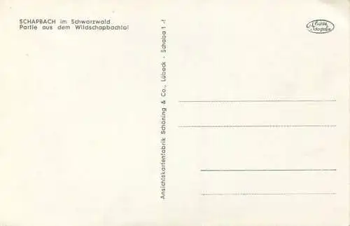 Schapbach - Partie aus dem Wildschapbachtal - Foto-AK - Verlag Schöning & Co. Lübeck