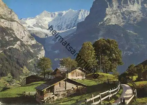 Bei Grindelwald - Fiescherhörner - AK-Grossformat - Verlag Gyger Interlaken