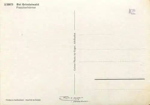 Bei Grindelwald - Fiescherhörner - AK-Grossformat - Verlag Gyger Interlaken