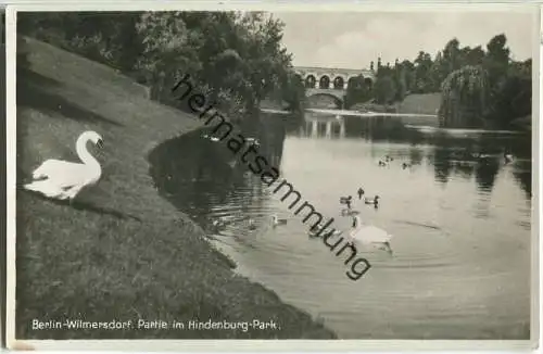 Berlin-Wilmersdorf - Hindenburg-Park - Foto-Ansichtskarte