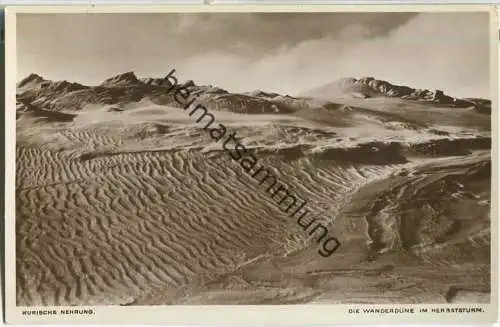 Kurische Nehrung - Wanderdüne