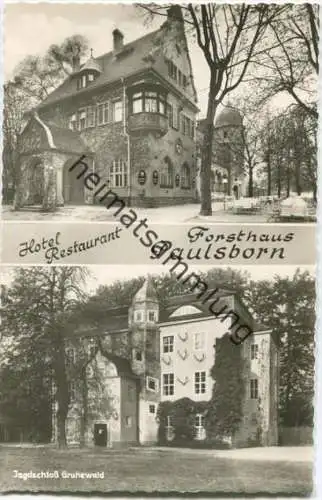 Jagdschloss Grunewald - Hotel Restaurant Forsthaus Paulsborn Otto Murre - Foto-AK - Verlag Herbert Meyerheim Berlin