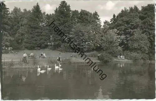 Bad Steben - Schwanenweiher - Foto-Ansichtskarte - Verlag Gardill Bamberg